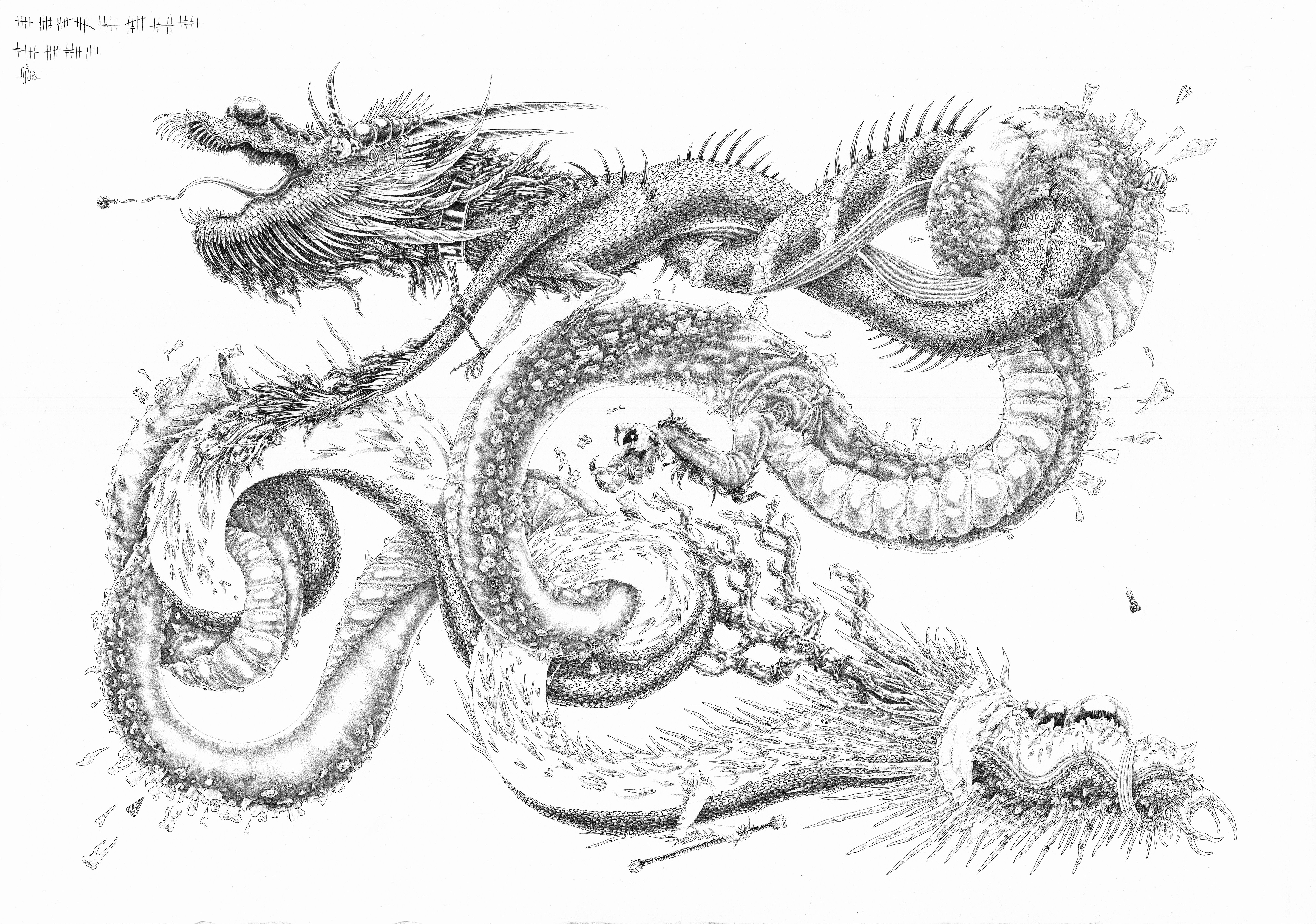 El hada de los dientes - Inopia