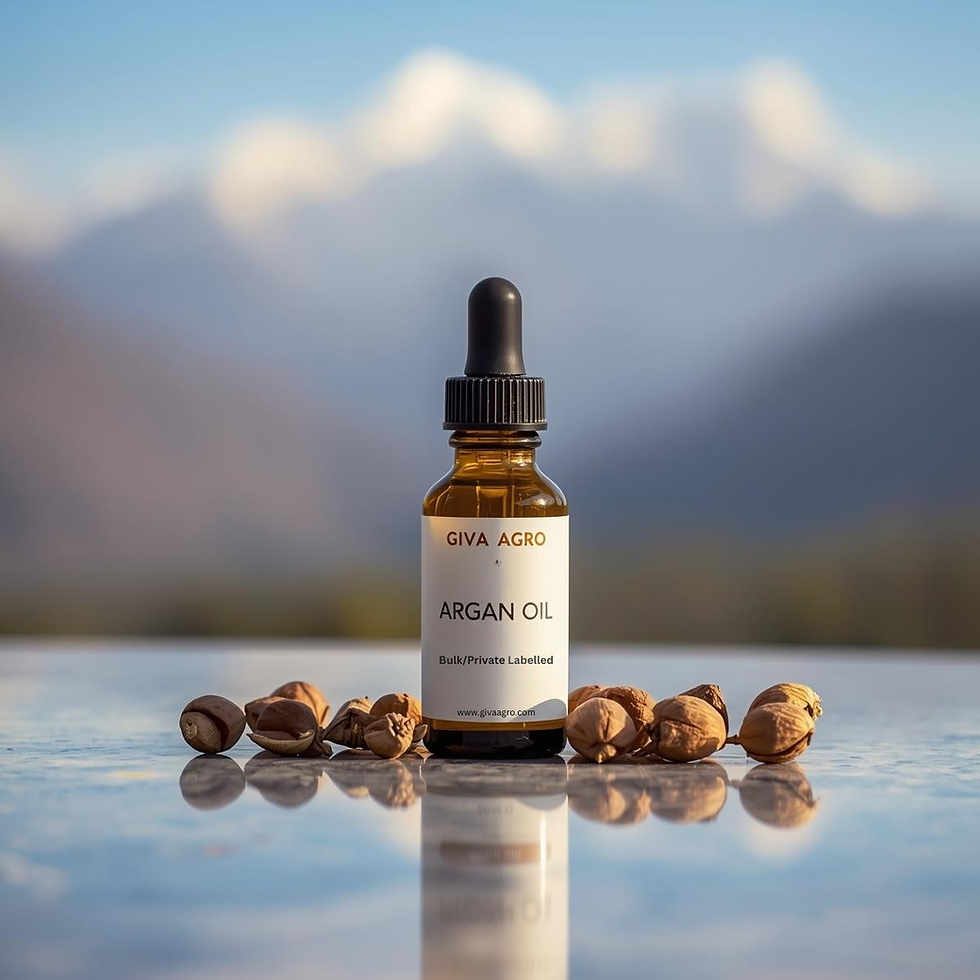 Moroccan Argan Oil: Organic & Conventional Grades for Global Cosmetic Brands.