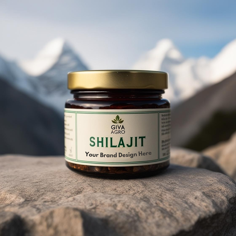 Pure Himalayan Shilajit Resin