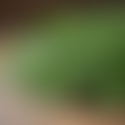 Enhance Your Hair with Rosemary Hair Benefits