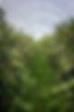 Connecting landowners and land managers with market gardeners and growers