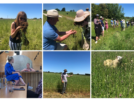 From Soil Health to Gut Health
