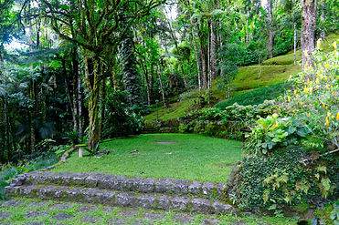 jardim cima 2.jpeg