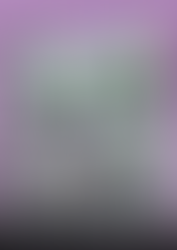 114.12.29 114學年第1學期學生校外實習勞動權益暨行前說明會(全學期就業實習)