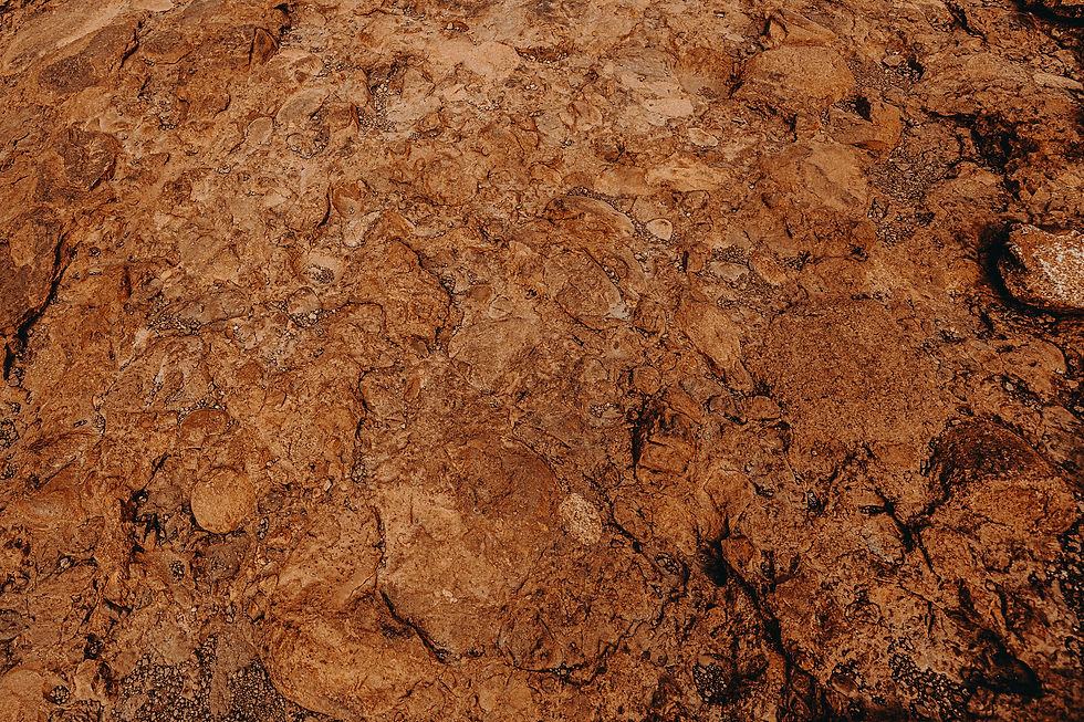 Thumbnail: Print | Australia Collection | Kata Tjuta 03