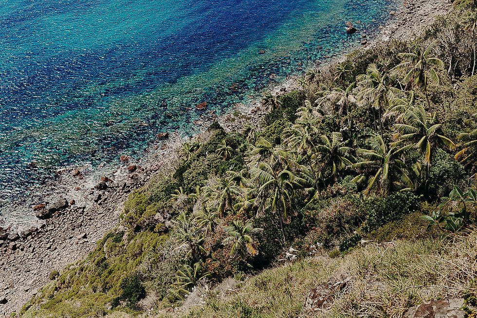Thumbnail: Print | Island Collection | Turtle Lane