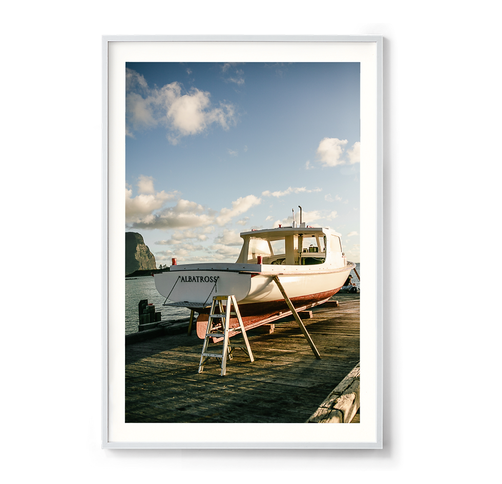Thumbnail: Print | Island Collection | Albatross