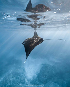 Manta-Point-Nusa-Penida-17.jpg