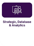 Strategic Database Analytic-03.png