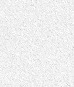 My project copy 3 (6).png