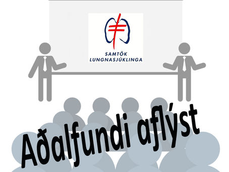 Aðalfundi SLS aflýst