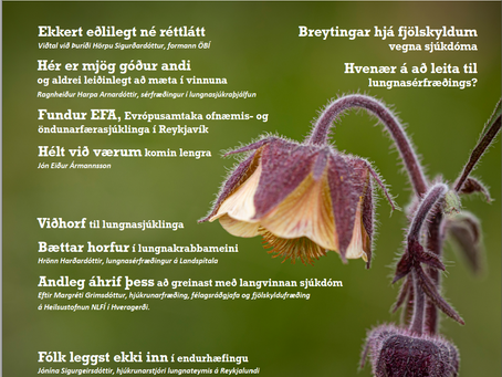 Lungu - fréttablaðiðn LS er komið út