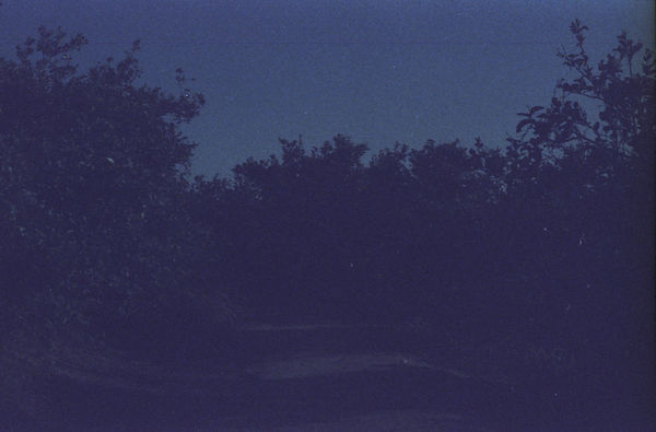Scan 9.jpeg