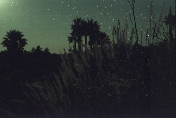 Scan 3.jpeg