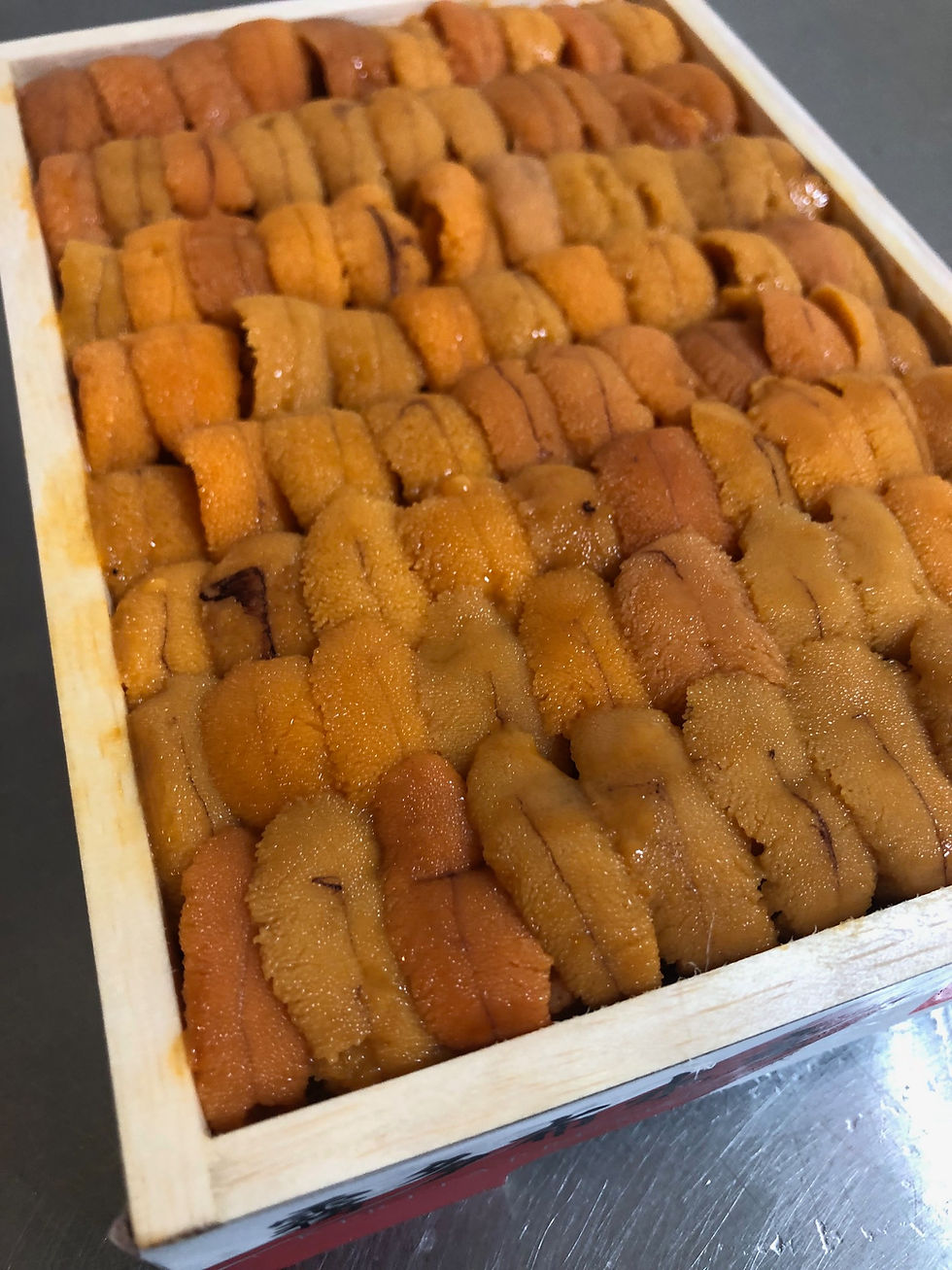 Japanese Sea Urchin from Hokkaido 