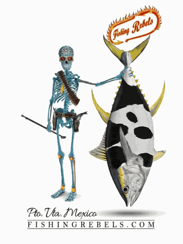 puerto vallarta sportfishing 