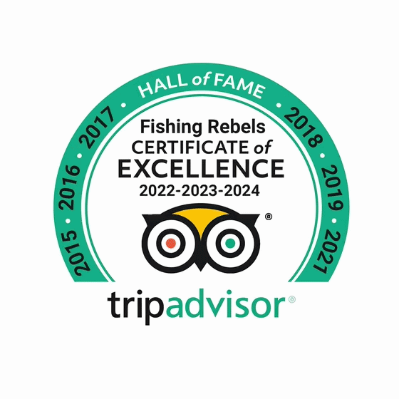 tripAdvisorPuertoVallarta.gif