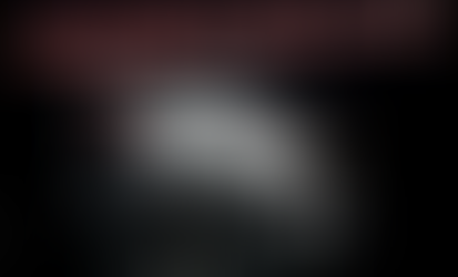 T-MAX 500 & 530 CHIPTUNING NOW!!!