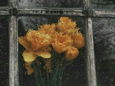 🥀🌺🥀🌺