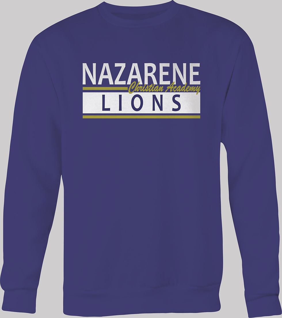 Thumbnail: Nazarene Lions #702