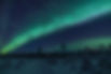 DSC00313-1.jpg