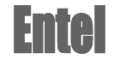 entell-logo.png