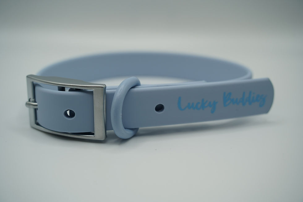 Thumbnail: Buddy Walking Kit- SKY