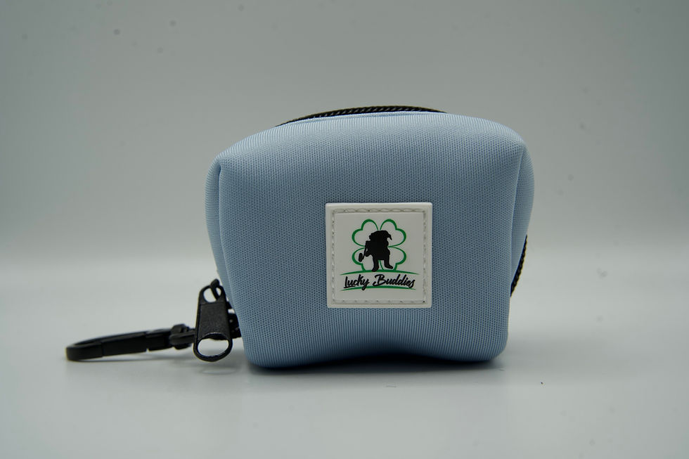 Thumbnail: Buddy Walking Kit- SKY