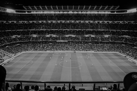 soccer field_edited.jpg