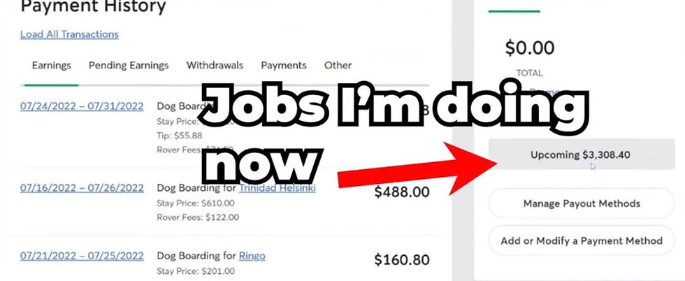 Rover pet sitting earnings dashboard showing upcoming payments of over $3,300 from dog boarding and pet care services.