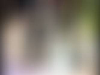 メンバーズ先行セール