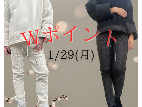 Wポイントday
