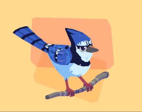 Bluejay_GIF.gif