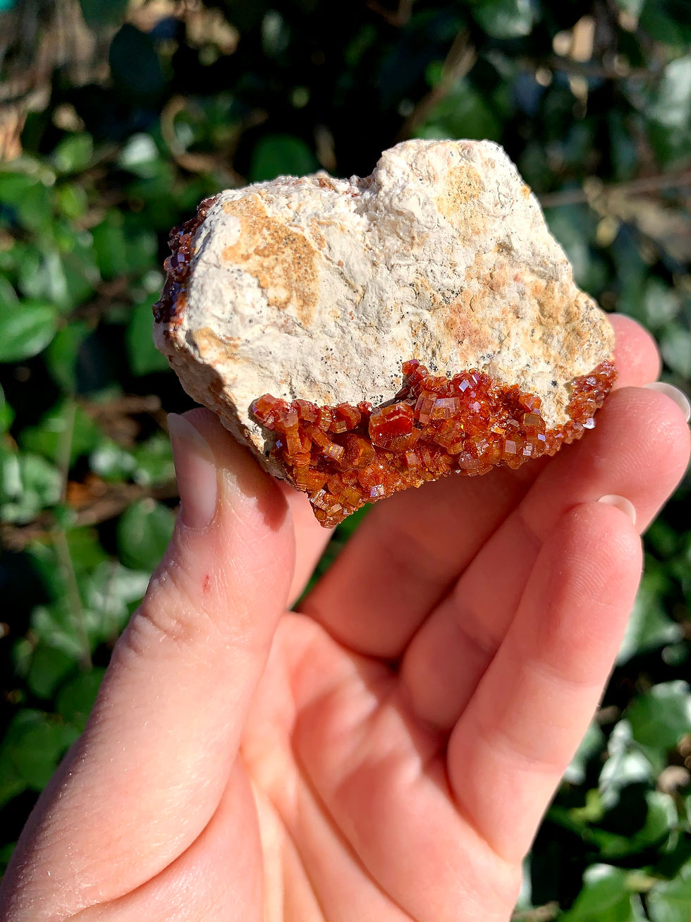 Thumbnail: Vanadinite Specimen