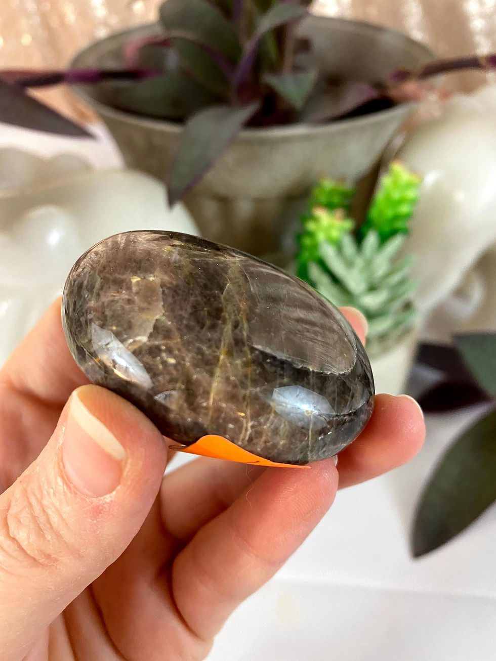 Thumbnail: Black Moonstone Palm Stone