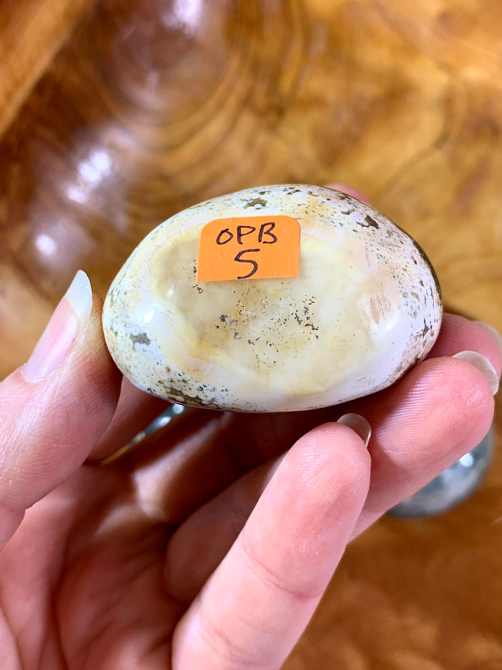 Thumbnail: Ocean Jasper Palm Stone