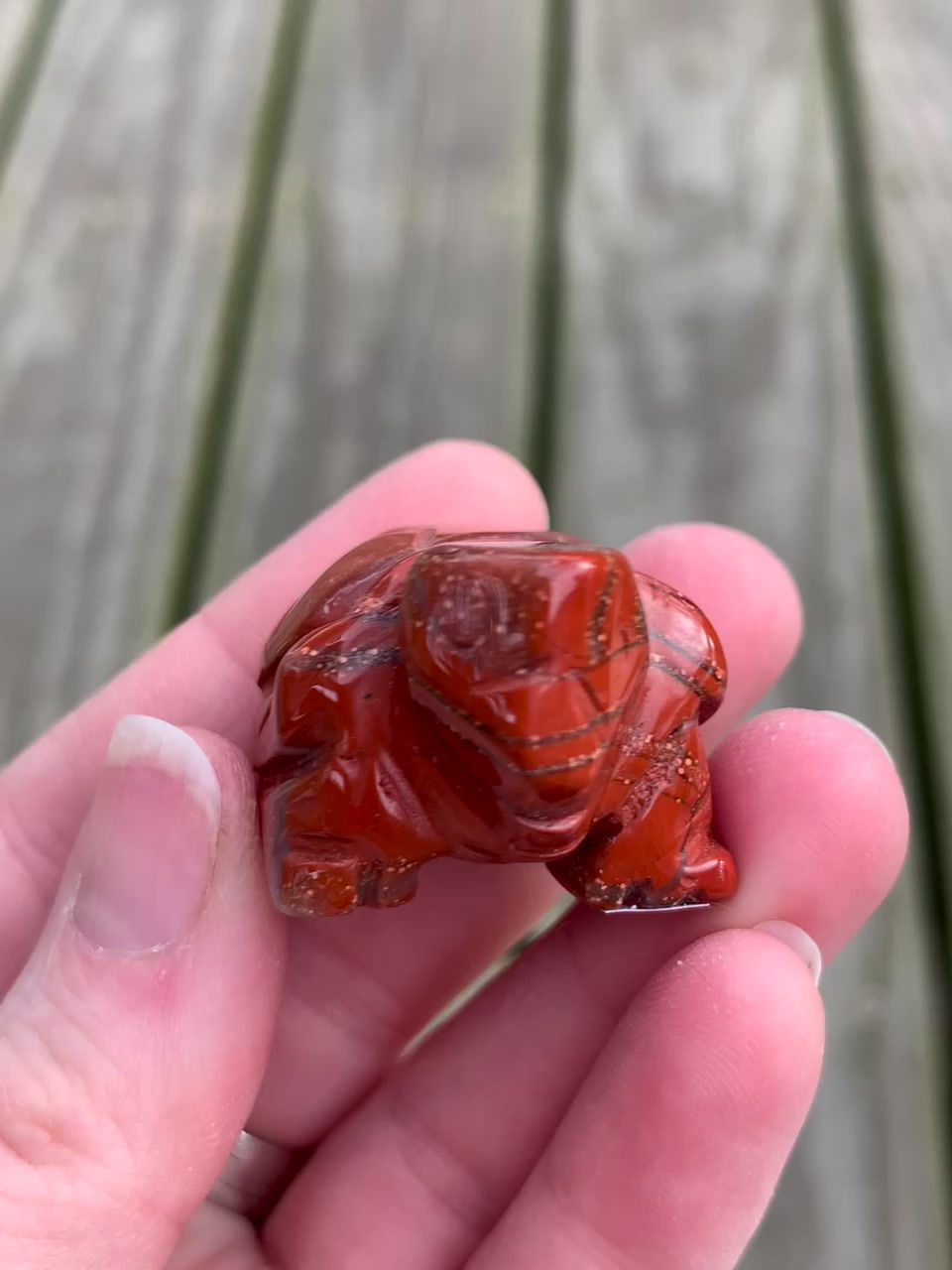 Thumbnail: Red Jasper Turtle - B