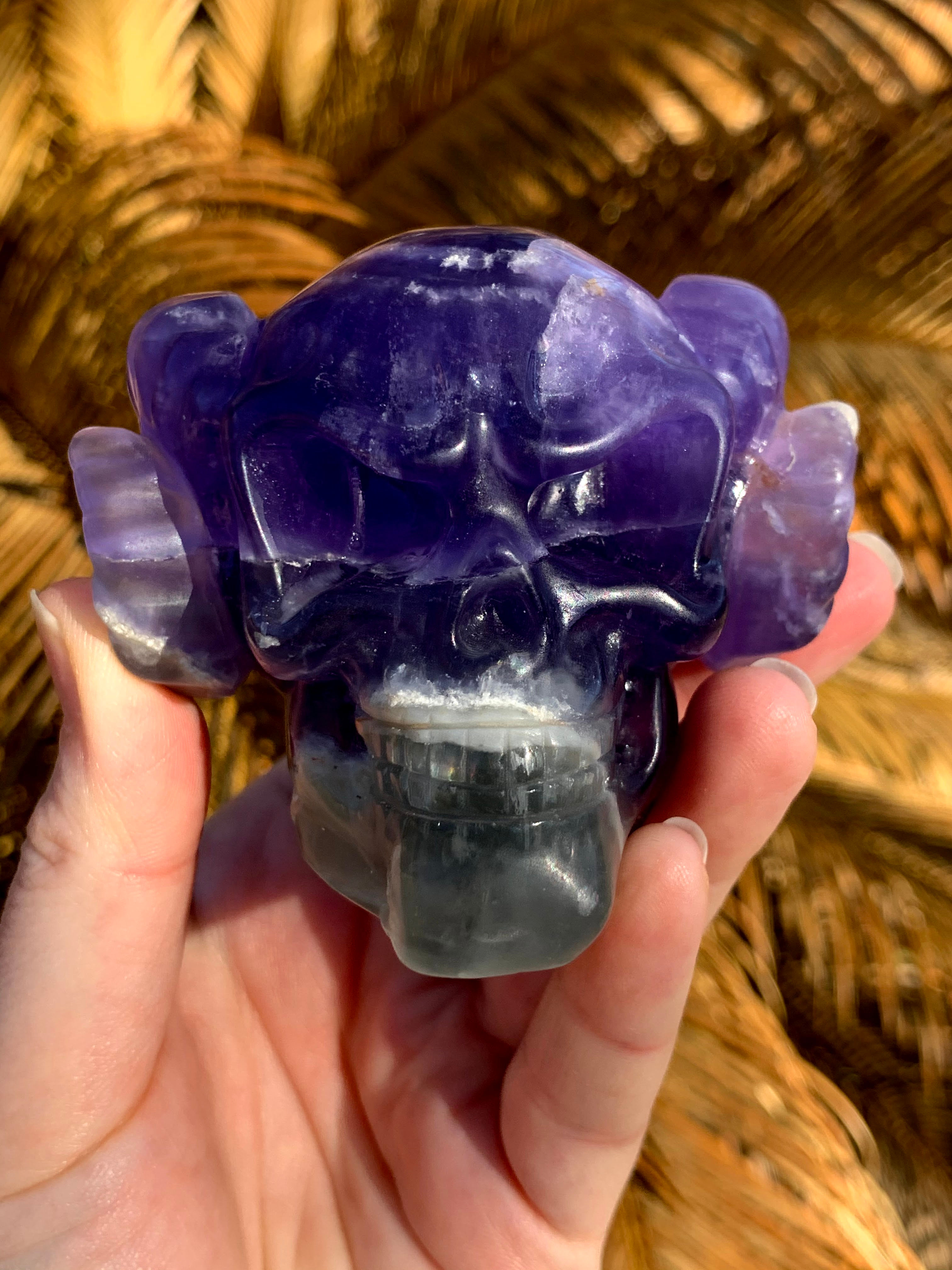 Blue & Purple Fluorite Skull with Owl
