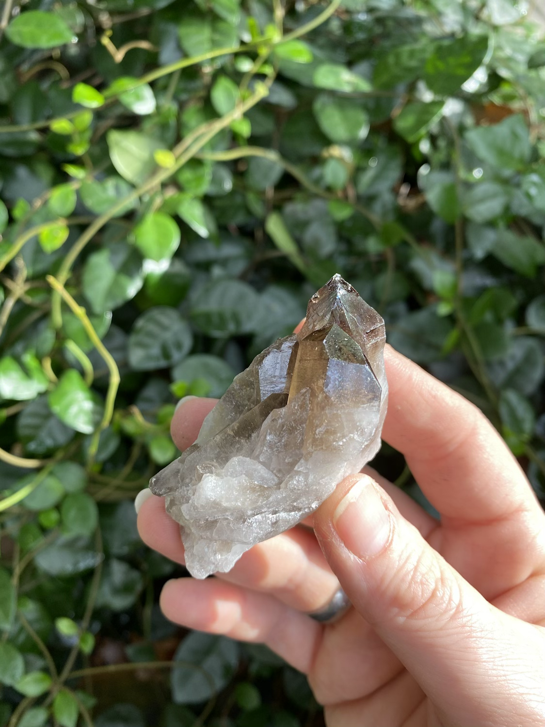 Smokey Quartz Cluster