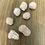 Thumbnail: Desert Rose