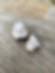 Clear Quartz Geode Pieces