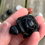 Thumbnail: Obsidian Turtle