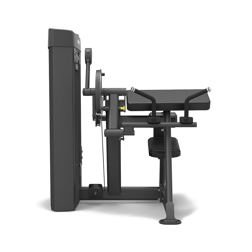 Küçük resim: BICEPS CURL / TRICEPS EXTENSION