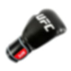 Miniatura: CORE BOXING GLOVES