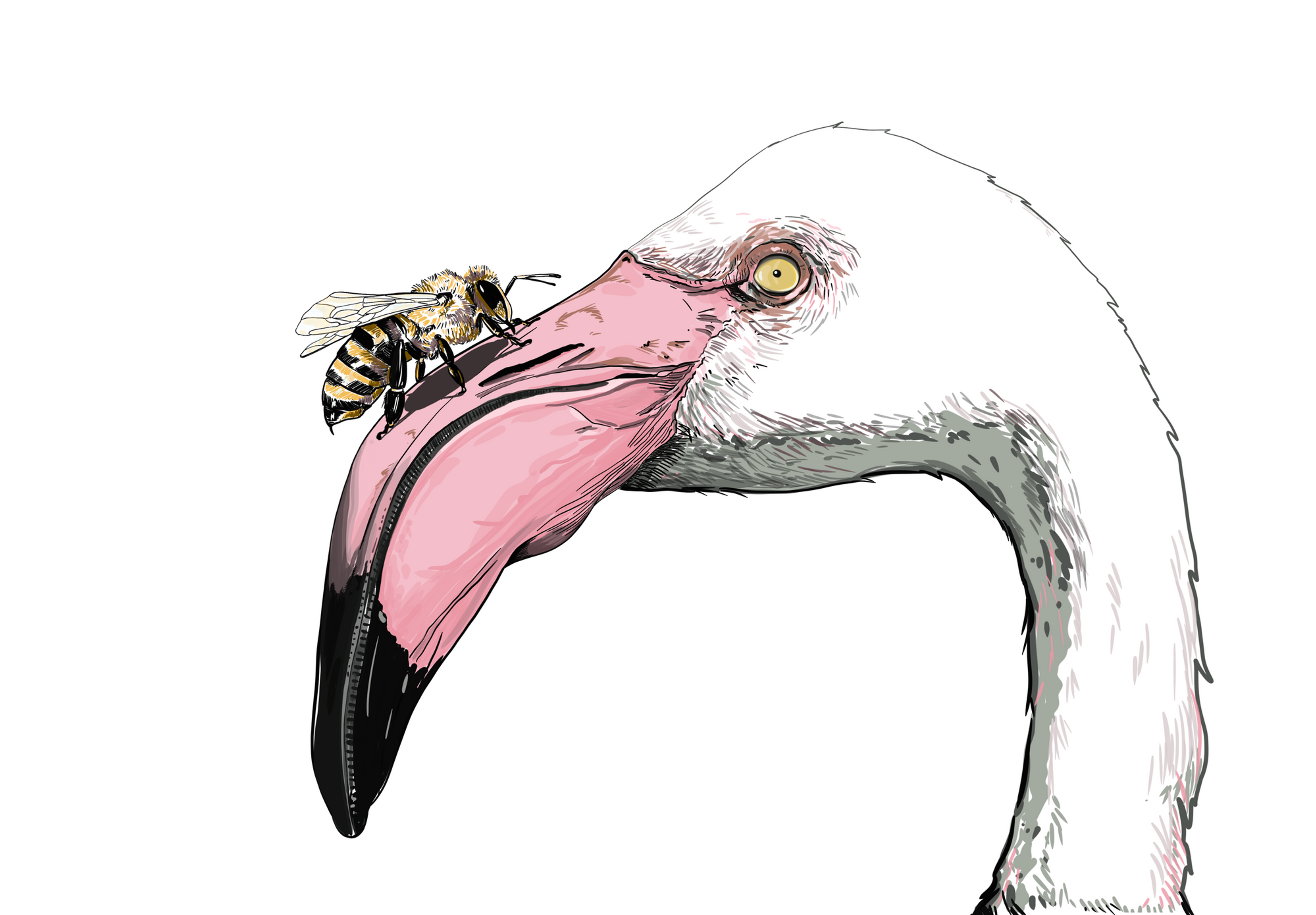 I'll prick you with flamenco.