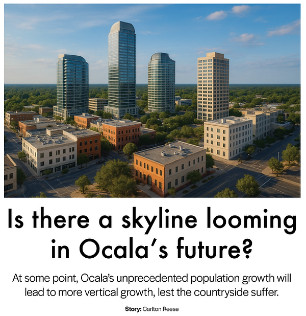 Skyline cover wix.png