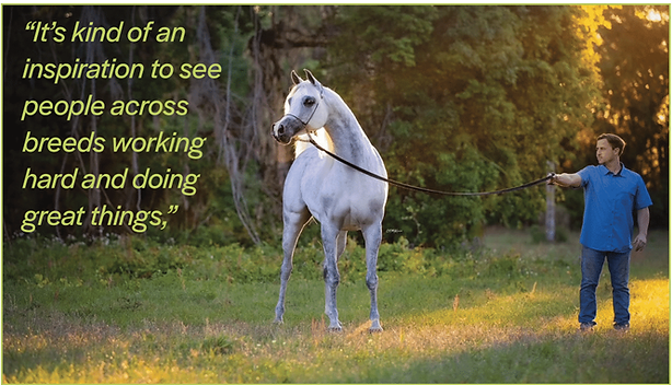 Equine pic 5.png
