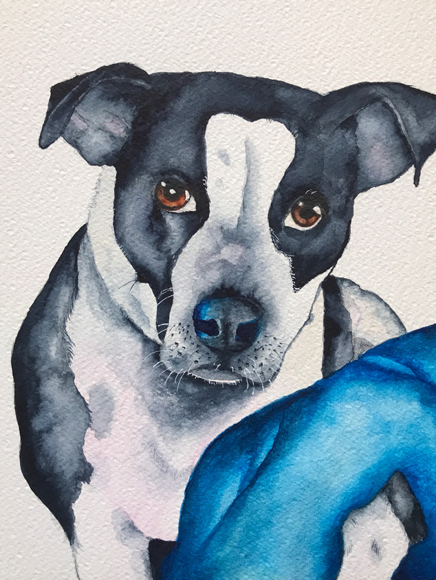 Paintings & Drawings
