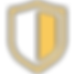 icons8-shield-67.png