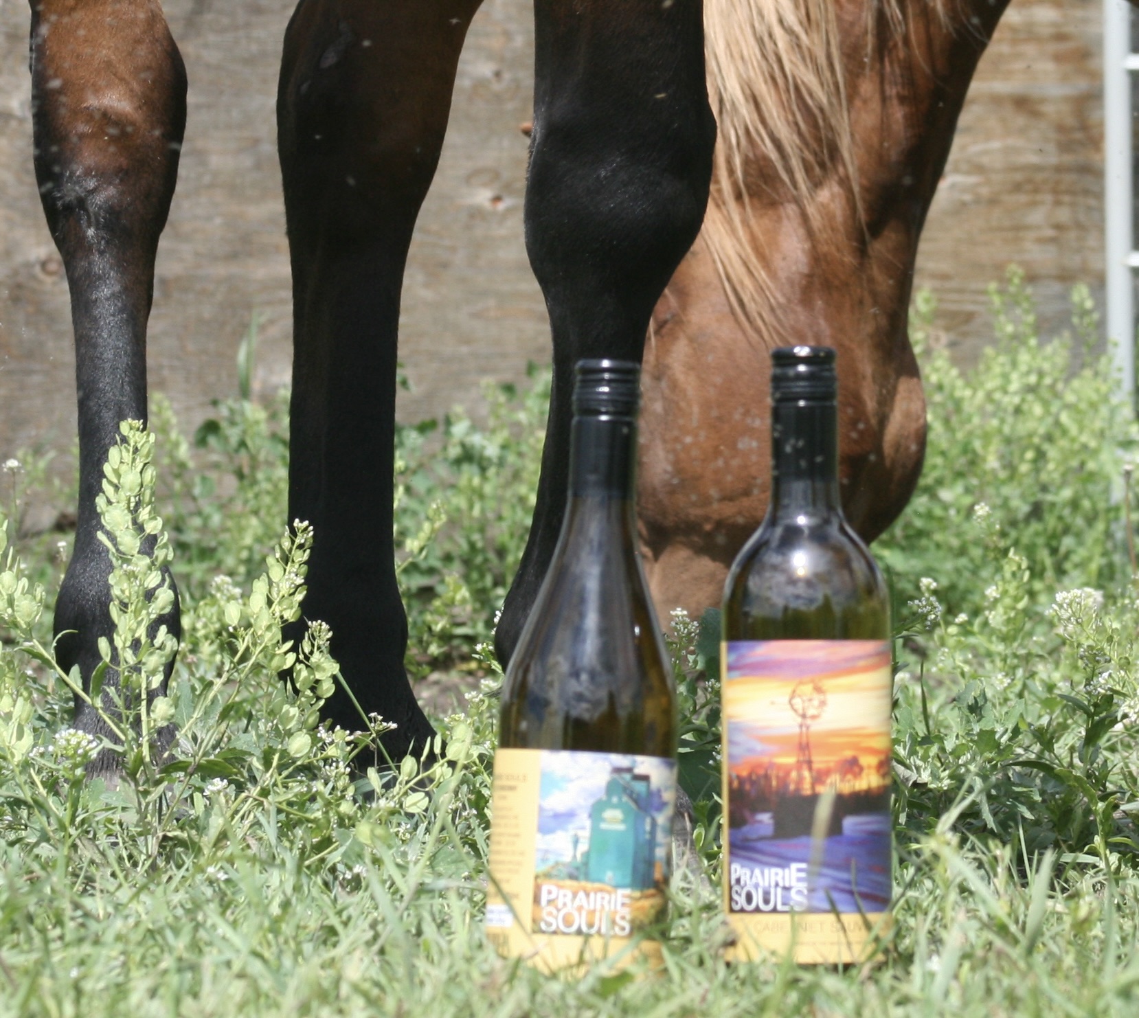 wine legs.jpg